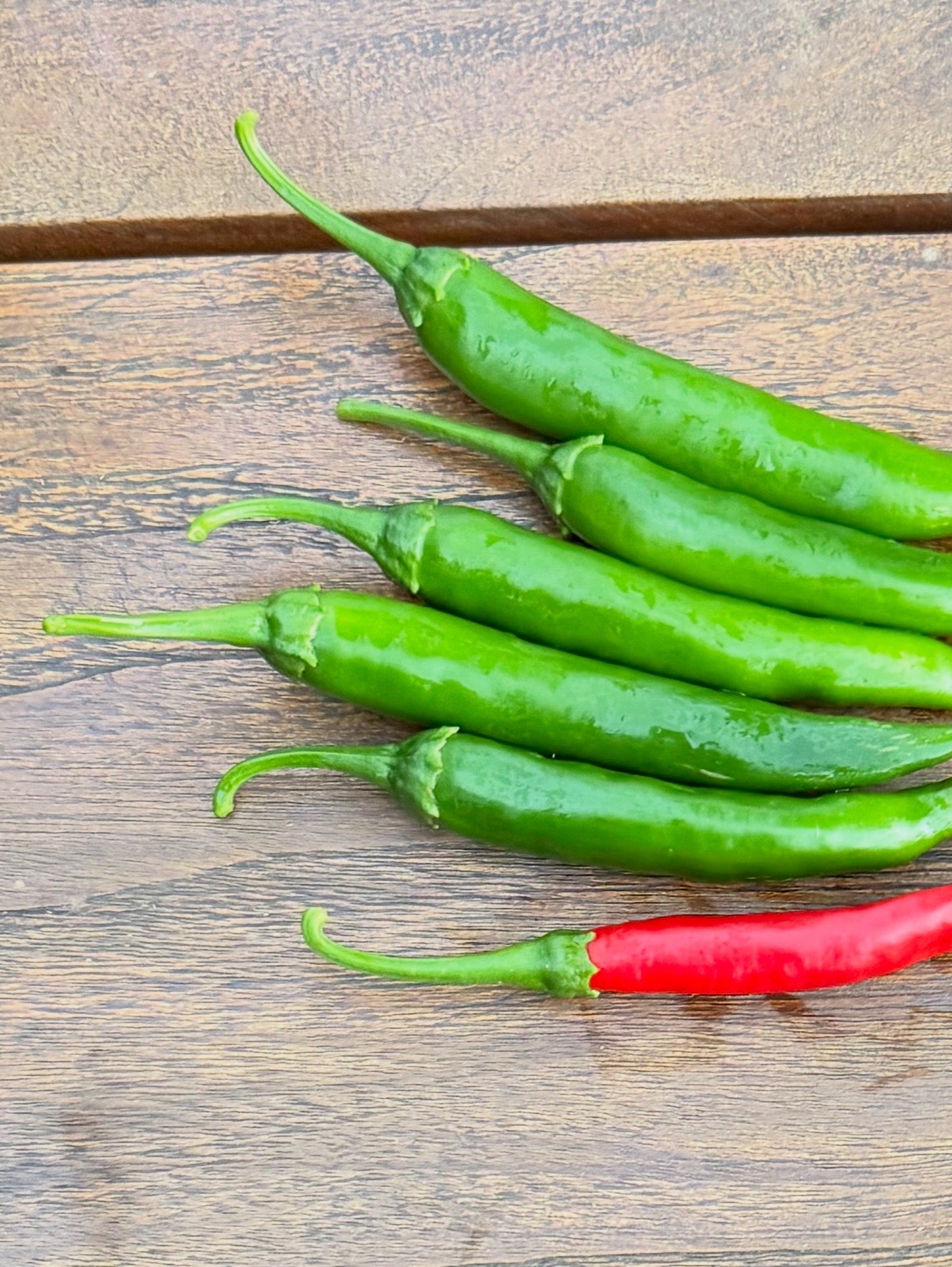 Chilli's | Mini Original Artwork